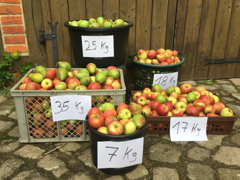 Mengenangabe für Obst