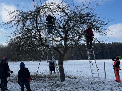 Obstbaumschnittkurs auf der Streuobstwiese